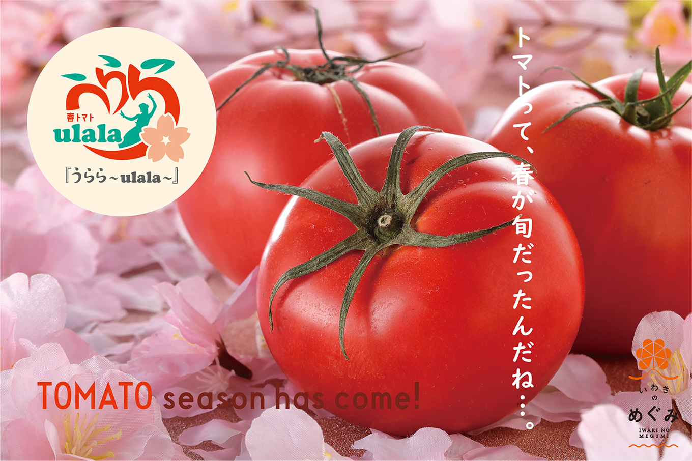 春トマト「うらら〜ulala〜」